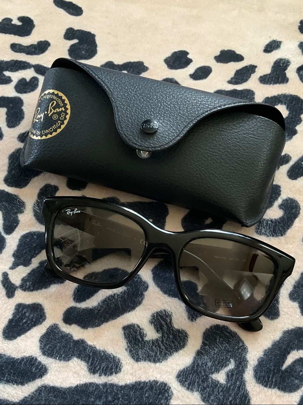 Ray-Ban Wayfarer Black Frame Sunglasses with Dark Lenses